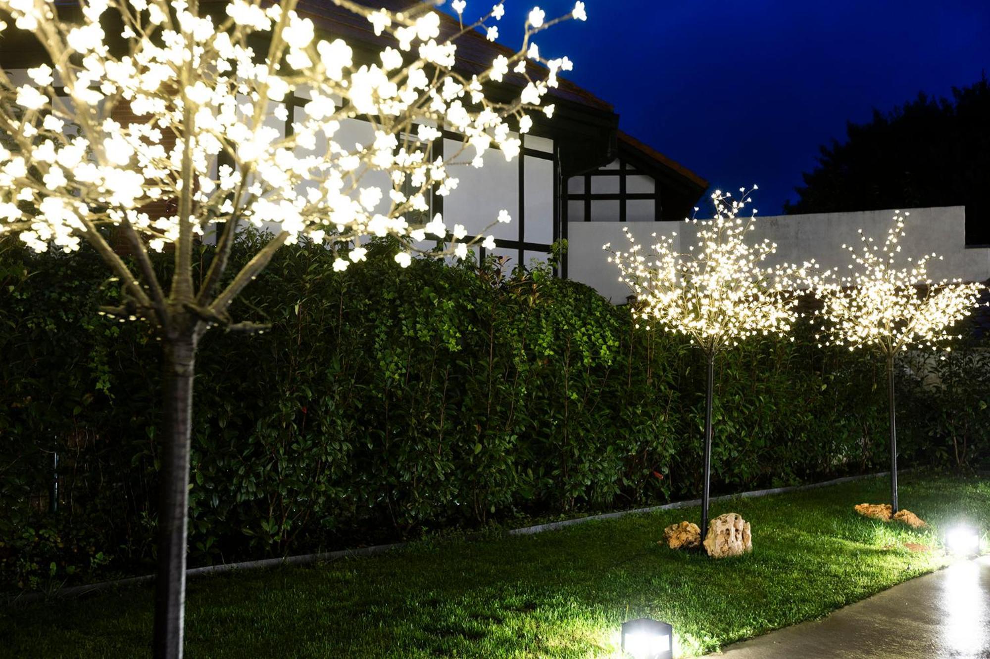 Arroka Apartment Hondarribia Bagian luar foto