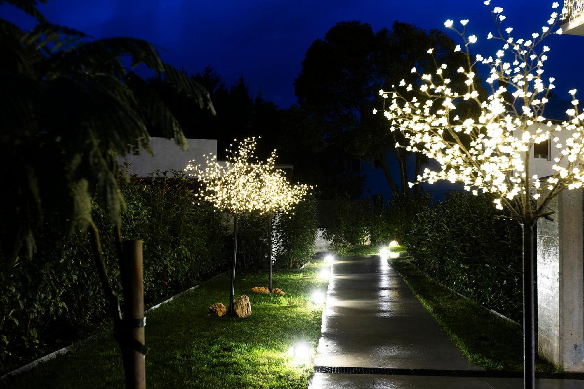 Arroka Apartment Hondarribia Bagian luar foto